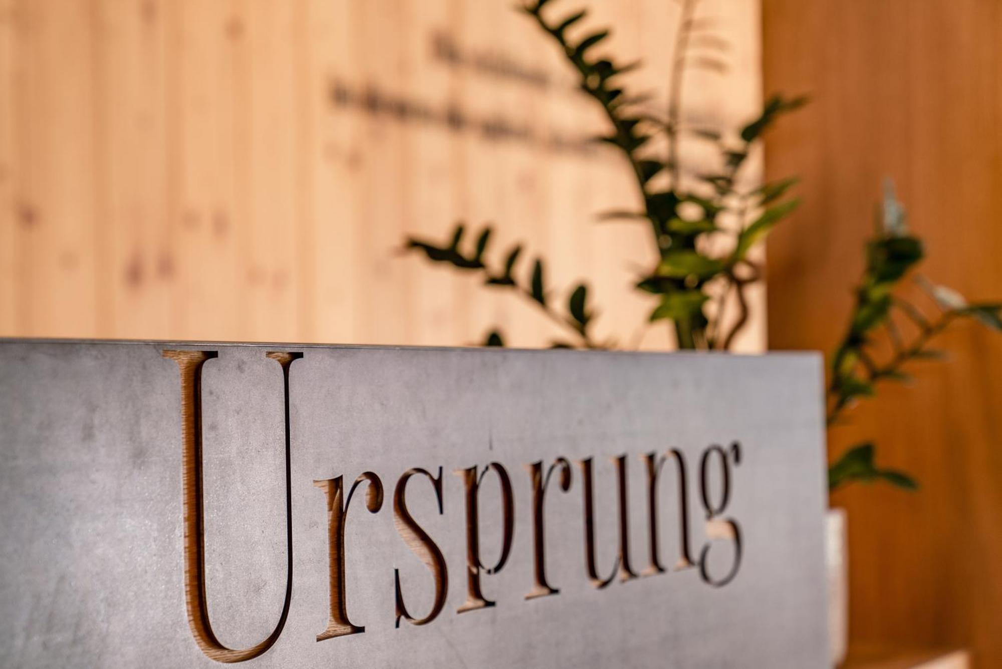 Aparthotel Ursprung Schladming Εξωτερικό φωτογραφία